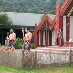 [<b>LIFE</b>]뉴질랜드- 오클랜드 여행기 2편!