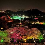 sns로 만나는 이월드 : 카카오스토리 페이스북