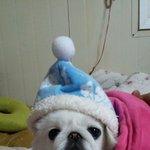 아롱이를소개합니다~