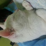 [읽어주세요] <b>아가</b>..ㅜㅜㅠ