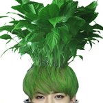 [세훈] 이거 오세훈이키우는<b>식물</b>이라고함