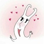 [블락비] 헐모찌