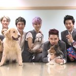 [EXO] 톡커분들 멍멍이 이름 좀 지어줘 