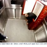 [공포베스트] 엘리베이터 <b>시체</b>몰카