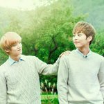 [exo] 엑소 루민 <b>sm</b>회사에서 시킨건가요?ㅠㅠ