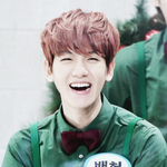 [EXO] 백현이랑 뷔가닮았다생각함?