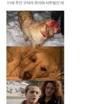 마음으로 보는 사진들..37