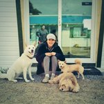 제주도에서 강아지들과 행복한 <b>날들</b> 보내는 이효리