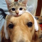 [세훈] 사생짤 어떻게 했으면 좋겠어?