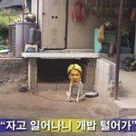 [세훈] <b>구사</b>즈 자고일어나니 도둑맞아