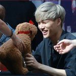 [카이] 종인이가 인형<b>선물</b>많이받는이유