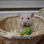 [댓글부탁] <b>경동대</b> 설악제2캠퍼스인사람 있을까해서..