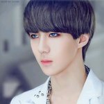 [EXO] <b>도배</b>하지마