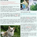 <정<b>퍼피</b>클럽 규칙2 > 강아지 식분증에 대해서