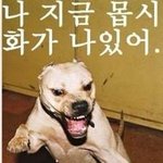 장동건 <b>에센스</b> 발랐는데 저 장동건 같은가요? ㅋㅋㅋㅋ