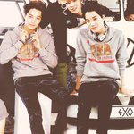 [카이] 깐종인+후디 첨보는짤