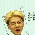 [EXO] 종대안돼