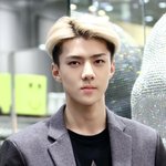 [세훈] 내맘대로 보는 세훈 머리