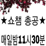 [BAP] 11시30분쇼챔총공