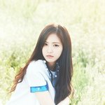 [에이핑크] 나 아무래도 탈덕 위기 온 듯...ㅠㅜ조언 좀..