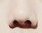[EXO] 코 <b>정답</b>나왔습니다