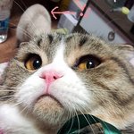 [도<b>다미</b>로] 도담이는 자는 중