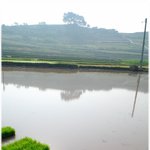 혼자 떠난 청산도 당일여행