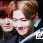 [백현] 백현이 오늘 모찌 폭발한 이유(<b>feat</b>.타오)