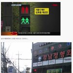 페미계의 강력한 <b>요청</b>에 의해 바뀌는 신호등