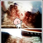 아기랑난황같이<b>생기</b>나여???