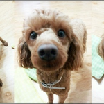 [몽구] <b>우와</b> 몽구톡이다!!!!!!!!!!!!!!!!!!!!!!...
