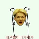 짤좀주<b>세염</b>