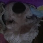 저희 가족을 찾습니다