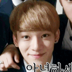 [CHEN] 종대생들 이사진있어요??ㅠㅠㅠ