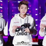 [블락비] 아기<b>늑대</b>ㅠㅠ