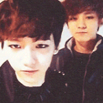 [EXO] 얘들아 찬백 ㄹㅇ 금픽없어?아제발 진짜