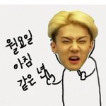 [EXO] 갠팬<b>위장</b>한 어그로들 꺼져라쫌;;