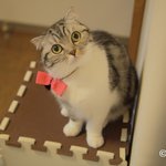 [유봉이네] 유봉이네 병영일기(유봉이네 2월호)