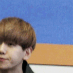 [exo] <b>백현</b>아너정말
