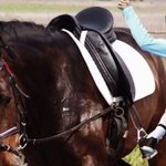 [시우민] 오뚜기설볼때추가해주고싶었던설들