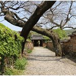 [검객] 성폭행을 당한 <b>백설</b>공주