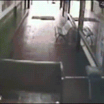 [짤북] 학교에서 <b>생쇼</b>..