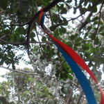 [댓글부탁] 여자 혼자 떠난 제주도 이야기