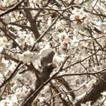 [다이어트] 등산 다이어트 준비는 이렇게~