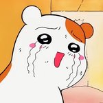 [블락비] 오늘 블몽 꿨는데..