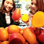 김승연회장 <b>계열사</b> 갤러리아 백화점 애플망고