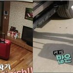 통통튀는 매력의 지나~ 8등신 돋는 몸매~~