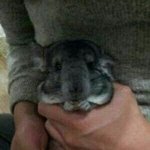 [블락비] 이거누구야??