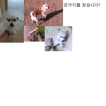 저희딸좀찾아주세요..!!! 한번만 제발 읽어주세요 ...