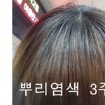 사진有) 미용실에서 <b>뿌리</b>염색 잘못하고 내쫓긴 이야기